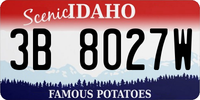 ID license plate 3B8027W