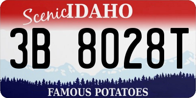 ID license plate 3B8028T
