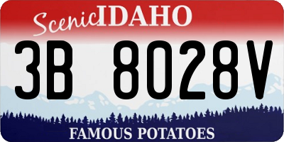 ID license plate 3B8028V