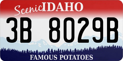 ID license plate 3B8029B