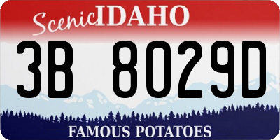 ID license plate 3B8029D