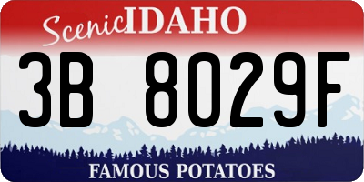 ID license plate 3B8029F