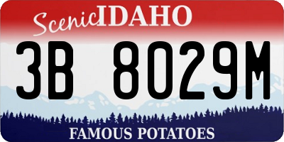 ID license plate 3B8029M