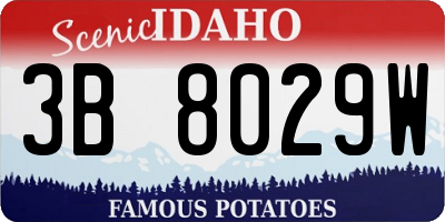 ID license plate 3B8029W