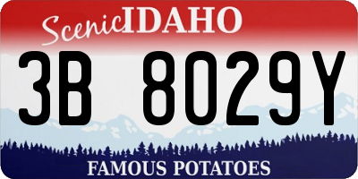 ID license plate 3B8029Y