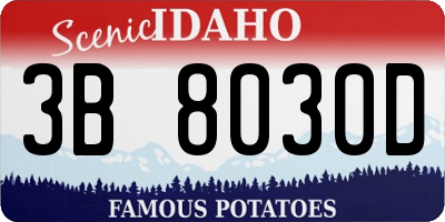 ID license plate 3B8030D