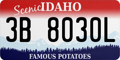 ID license plate 3B8030L