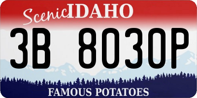 ID license plate 3B8030P