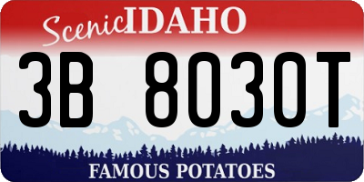 ID license plate 3B8030T
