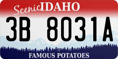 ID license plate 3B8031A
