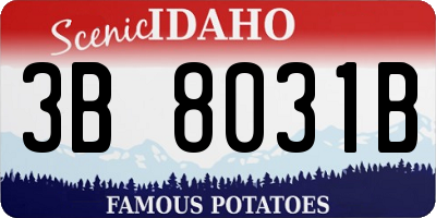 ID license plate 3B8031B
