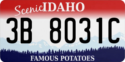 ID license plate 3B8031C
