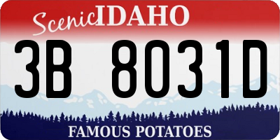 ID license plate 3B8031D