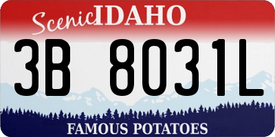 ID license plate 3B8031L