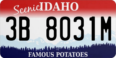 ID license plate 3B8031M