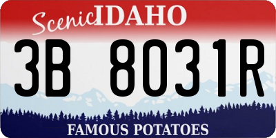 ID license plate 3B8031R