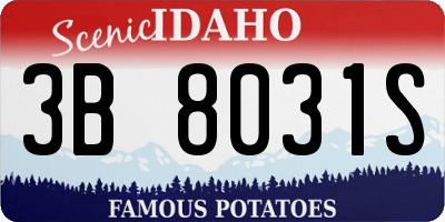 ID license plate 3B8031S