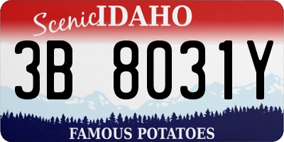 ID license plate 3B8031Y