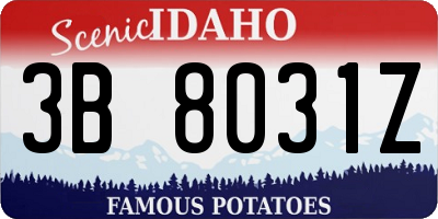 ID license plate 3B8031Z