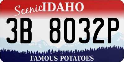 ID license plate 3B8032P