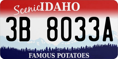 ID license plate 3B8033A