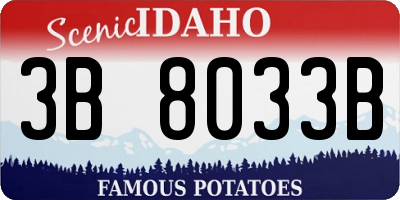 ID license plate 3B8033B