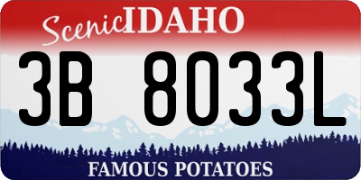 ID license plate 3B8033L