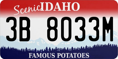 ID license plate 3B8033M