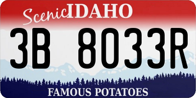 ID license plate 3B8033R