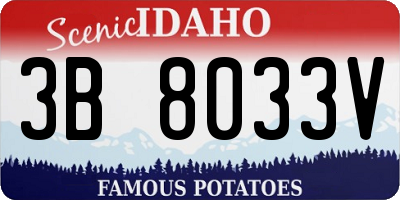ID license plate 3B8033V