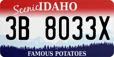 ID license plate 3B8033X