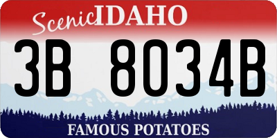 ID license plate 3B8034B