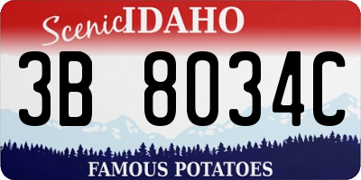 ID license plate 3B8034C