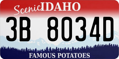 ID license plate 3B8034D