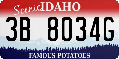 ID license plate 3B8034G