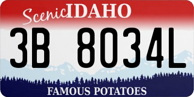 ID license plate 3B8034L
