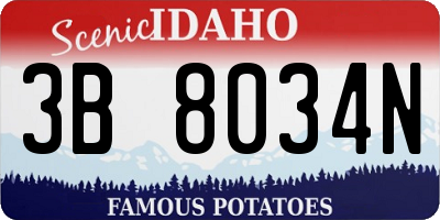 ID license plate 3B8034N