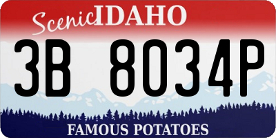 ID license plate 3B8034P