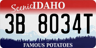 ID license plate 3B8034T