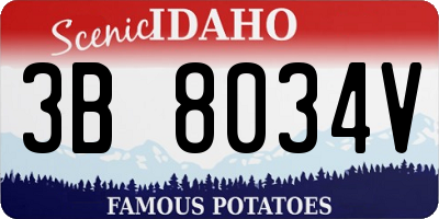 ID license plate 3B8034V