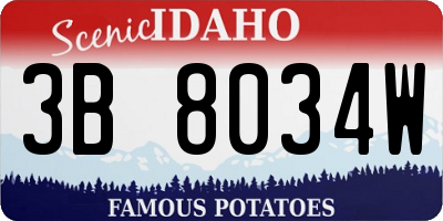 ID license plate 3B8034W