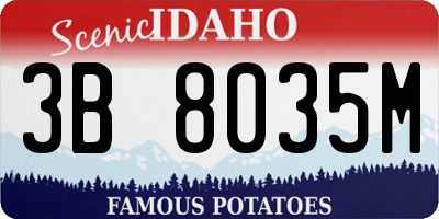 ID license plate 3B8035M