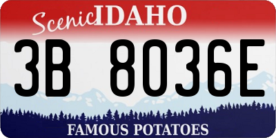 ID license plate 3B8036E