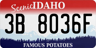 ID license plate 3B8036F
