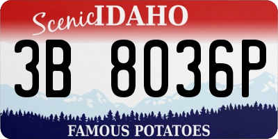 ID license plate 3B8036P