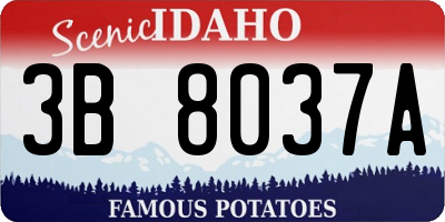 ID license plate 3B8037A