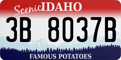 ID license plate 3B8037B