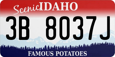 ID license plate 3B8037J