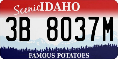 ID license plate 3B8037M