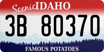 ID license plate 3B8037O